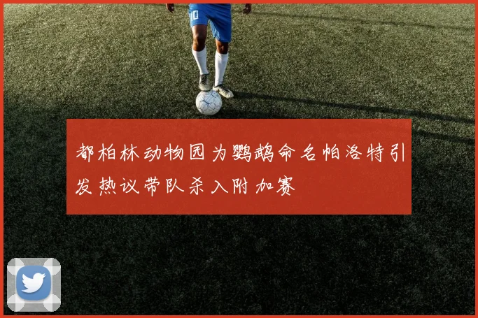 都柏林动物园为鹦鹉命名帕洛特引发热议带队杀入附加赛