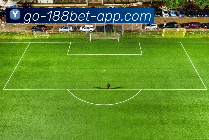 数据防护可视化